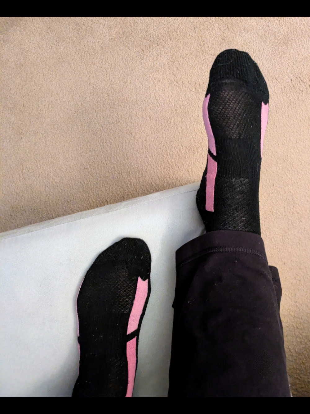 Hanes Ankle Cut Athletic Socks with Pink Accent Stripe